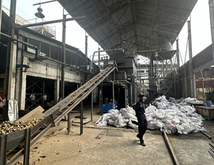 DZW 10 tons Capacity Biomass Steam Boiler Used for Knit Dyeing Factory